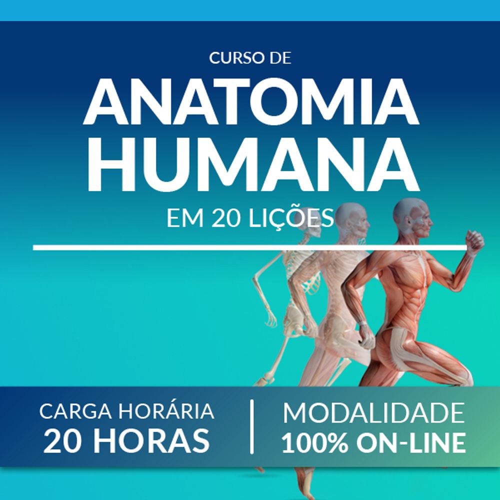 Hermano teoría Absolutamente Anatomia humana em 20 lições - Manole Educação - Manole internacional